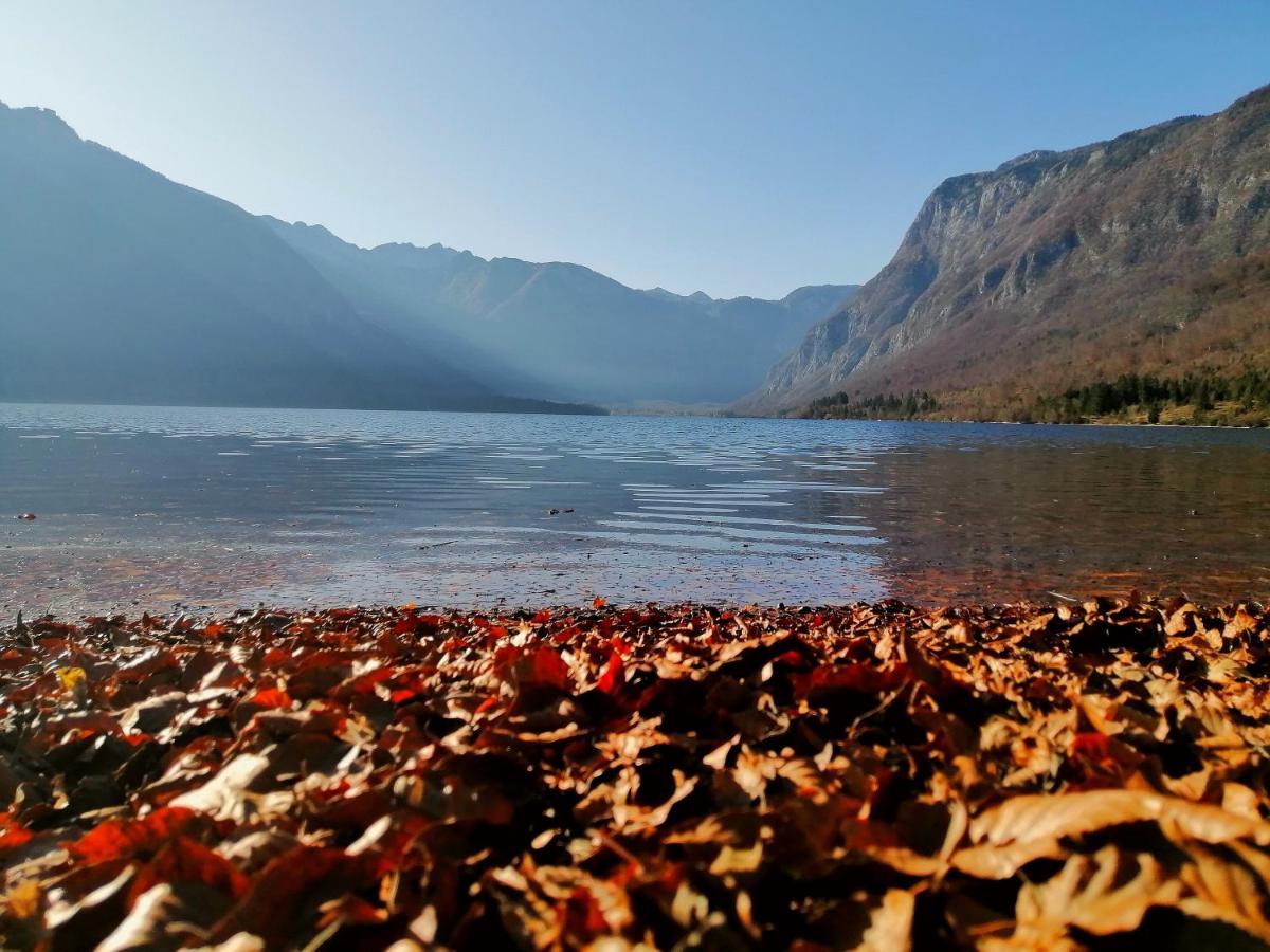 Apartment Korosec Matej Bohinj Bagian luar foto