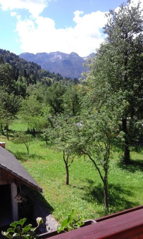 Apartment Korosec Matej Bohinj Bagian luar foto